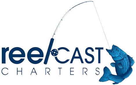 Reel Cast Charters