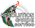 Resolution Guide Services