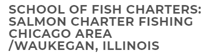 School of Fish Charters