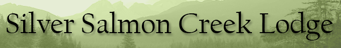 Silver Salmon Creek Lodge