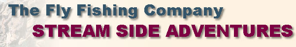 Stream Side Adventures