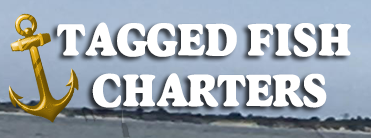 Tagged Fish Charters