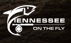 Tennessee on the Fly