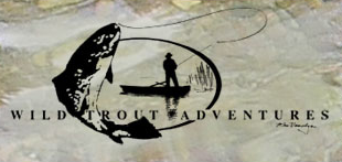 Wild Trout Adventures