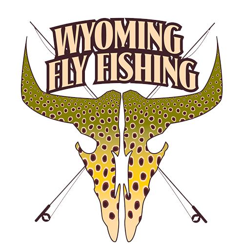 Wyoming Fly Fishing Guide Service
