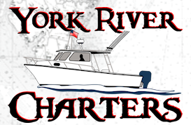 York River Charters