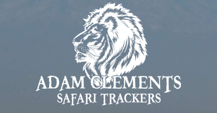Adam Clements Safari Trackers