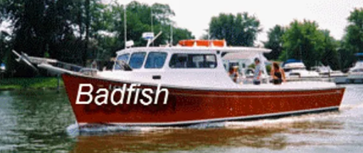 Badfish Charters
