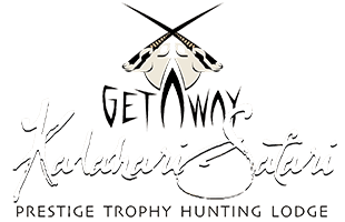 Kalahari Safaris