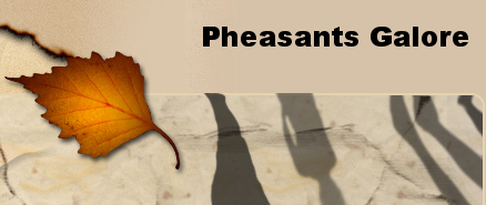 Pheasants Galore Hunting Service