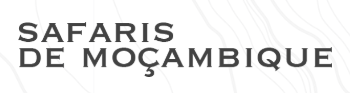 Safaris De Moçambique