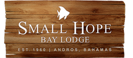Small Home Bay Lodge