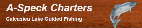 A-Speck Charters