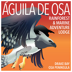 Aguila de Osa Inn
