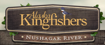 Alaska Kingfishers