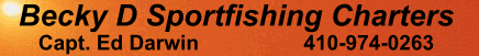 Becky D Fishing Charters