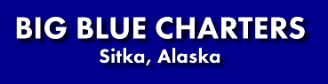 Big Blue Charters