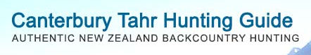 Canterbury Tahr Hunting Guiding