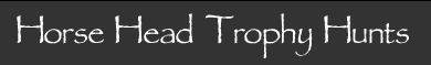 Horsehead Trophy Hunts