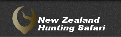 New Zealand Hunting Safari