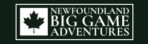 Newfoundland Big Game Adventures
