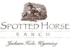 Spotted Horse Ranch