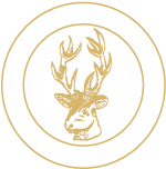 Track & Trail Safaris
