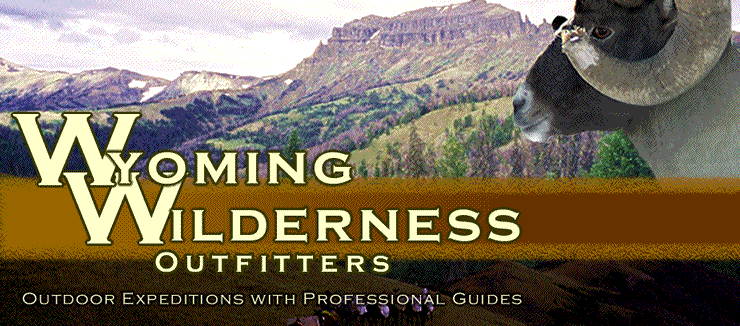 Wyoming Wilderness Outfitters
