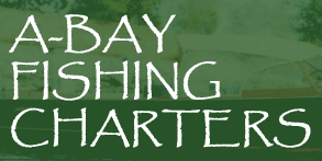 Bassin Bob Fishing Charters