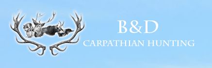 B&D Carpathian Hunting