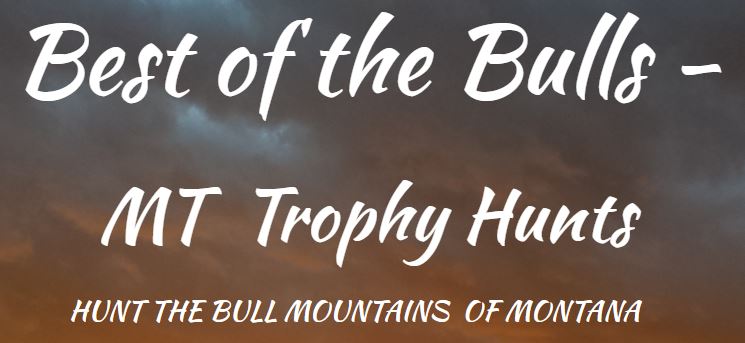 Best Of the Bulls-Montana Trophy Hunts