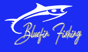 Bluefin Fishing