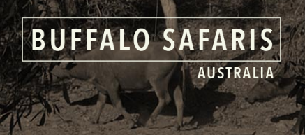 Buffalo Safaris Australia