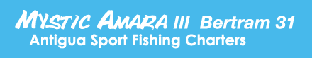 Fishing Antigua - Mystic Amara III
