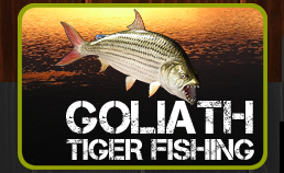 Goliath Tiger Fishing