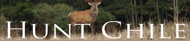 Hunt Chile