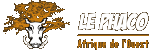 Le Phaco