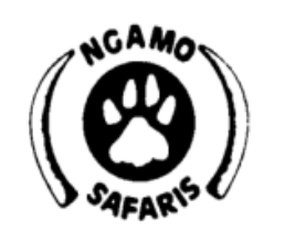Ngamo Safaris