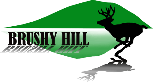 Brushy Hill Ranch