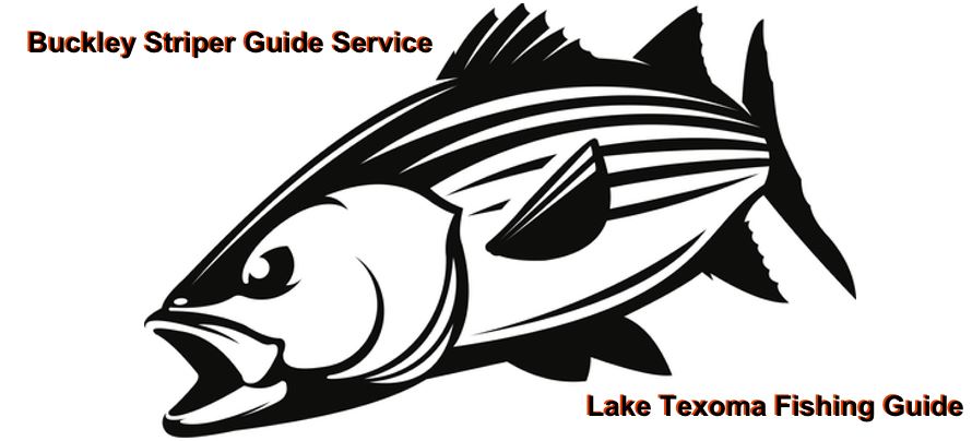 Buckley Striper Guide Service