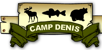 Camp Denis