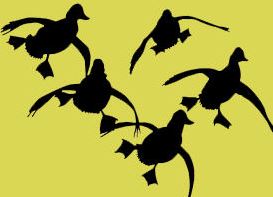 Chincoteague Hunting & Fishing Center