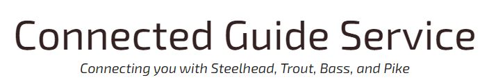 Connected Guide Service