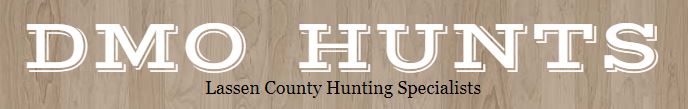 Diamond Mountain Outfitters