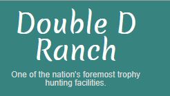 Double D Ranch