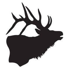 Fish Creek Outfitters (FCO)