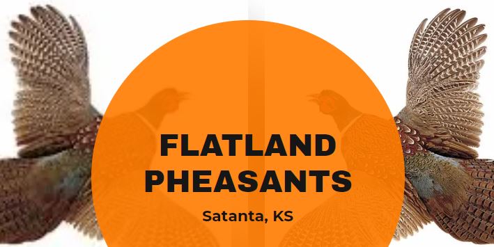 Flatland Pheasants