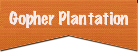Gopher Plantation