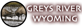 Greys River Trophies