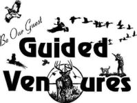 Guided Ventures